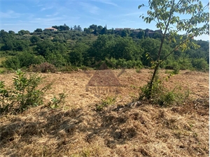 terrain a batir à la vente -   07460  SAINT PAUL LE JEUNE, surface 1691 m2 vente terrain a batir - UBI477822044